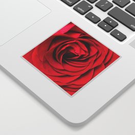 Red Rose Close-up #decor #society6 #buyart Sticker