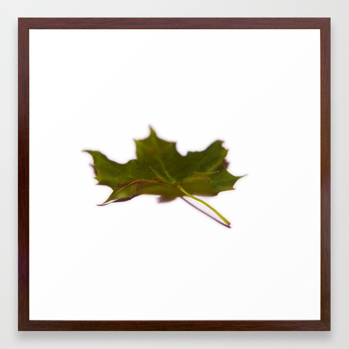 Faded green leaf #4 Framed Art Print
