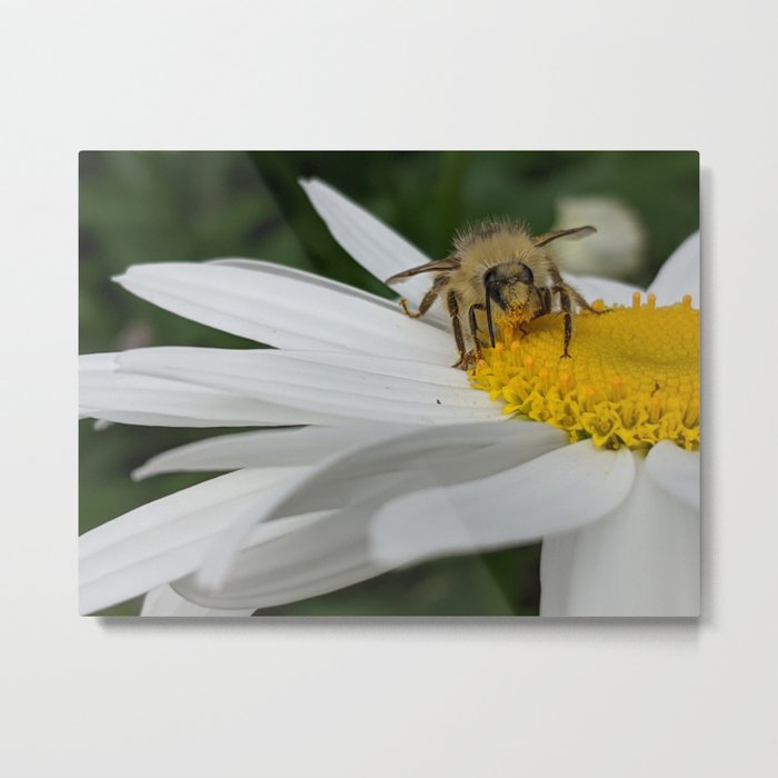 Busy As A Bee: Messy Eater Metal Print