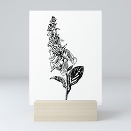 wild flower: digitalis purpurea Mini Art Print