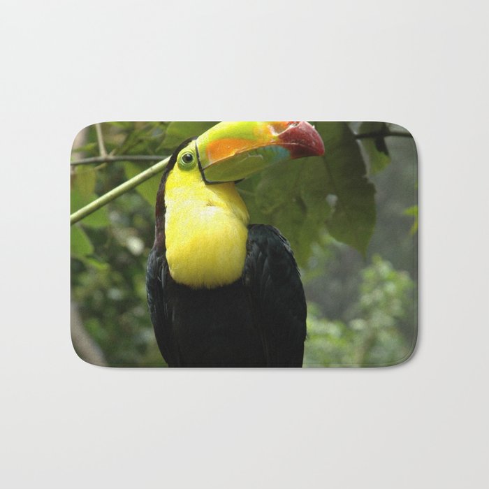 Mexico Photography - Beautiful Toucan On A Branch Bath Mat