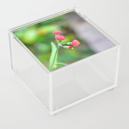 Pink flower Acrylic Box