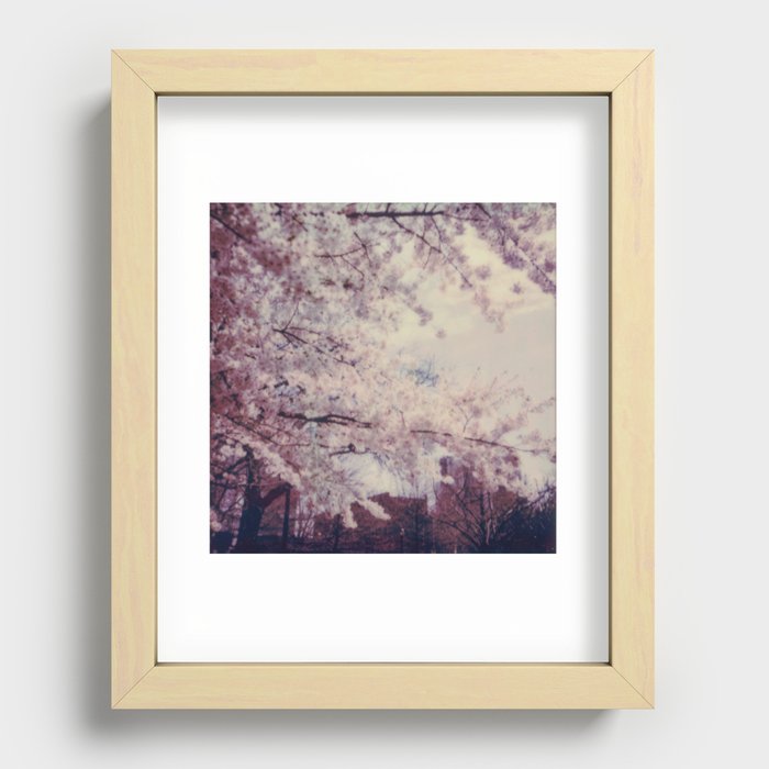 Cherry Blossom  Recessed Framed Print