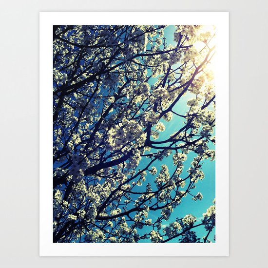 Pops Art Print