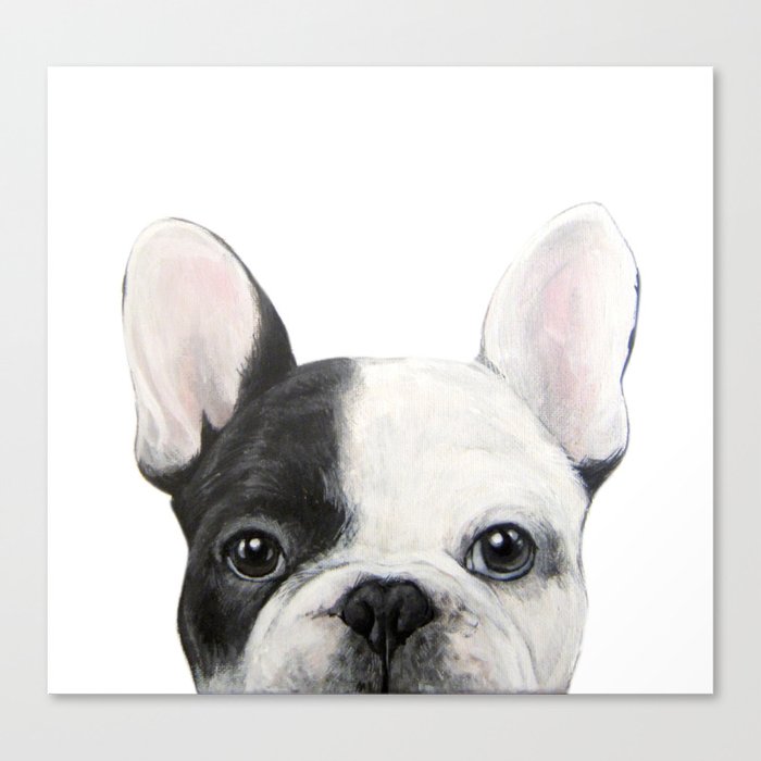 French Bulldog Dog illustration 