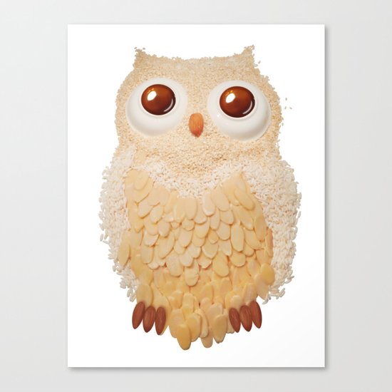 Owl Collage #5 Canvas Print
