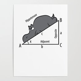 Funny Math Humor Hippotenuse Hypotenuse Funny Poster