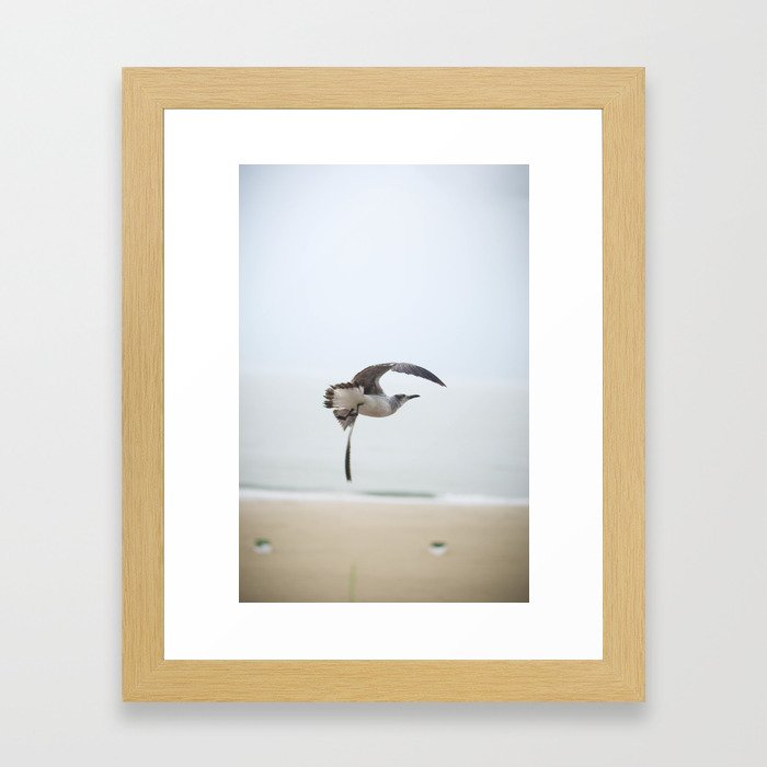 birds Framed Art Print