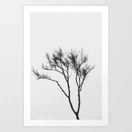 Black and White Tree Art Print