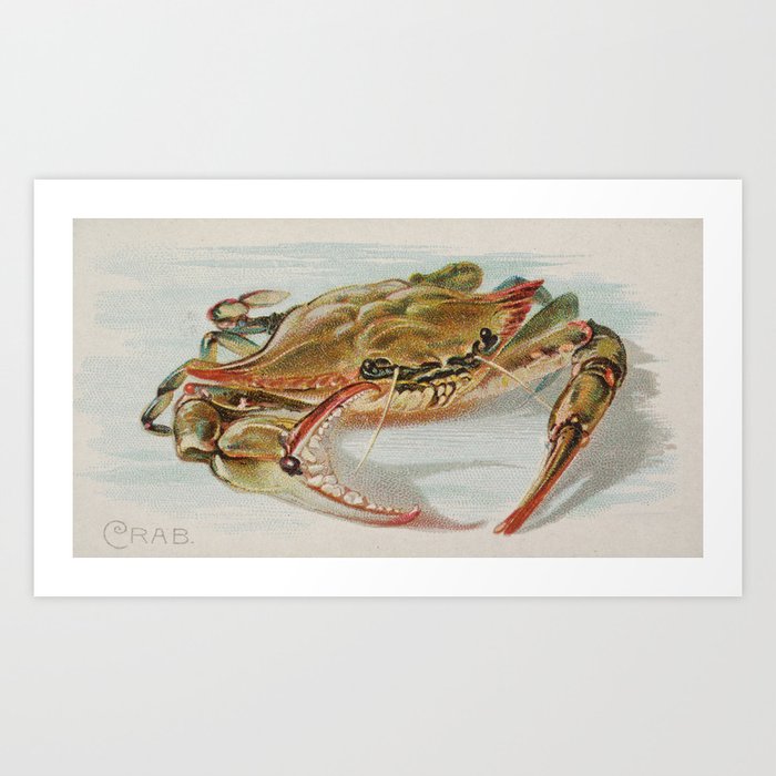 Vintage Illustration of a Crab (1889) Art Print