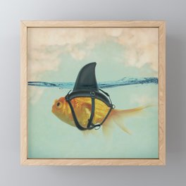 Brilliant DISGUISE - Goldfish with a Shark Fin Framed Mini Art Print | Nature, Alwaysbeyou, Sharkfin, Shark, Animal, Alwaysbeyourself, Beyourself, Liveinthemoment, Pop Surrealism, Orange 