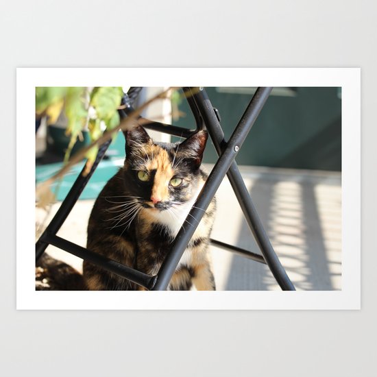 Calliope on the Porch Art Print