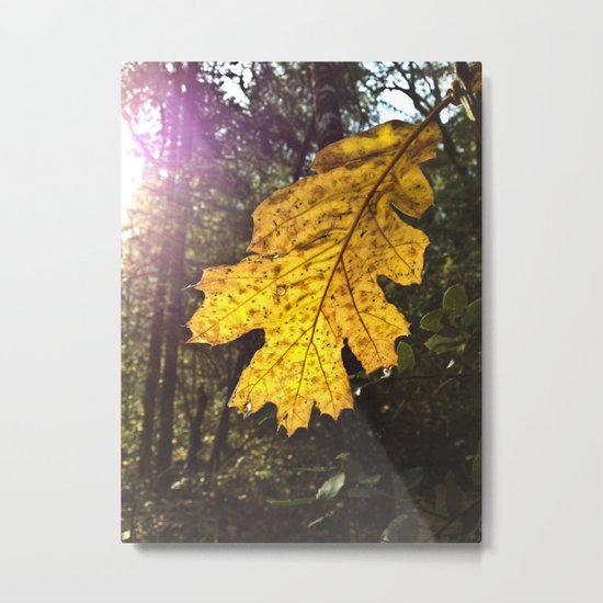 Just This One Metal Print