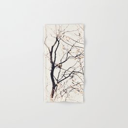 House Sparrows in Tree Branches Stylized Minimalist Nature Hand & Bath Towel