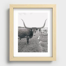 Florida Cow Recessed Framed Print