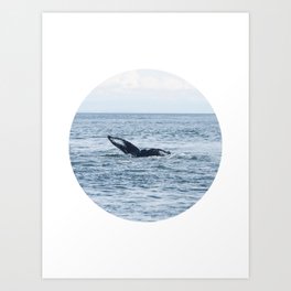 Whale Tail Circle Photograph No. 3 Art Print
