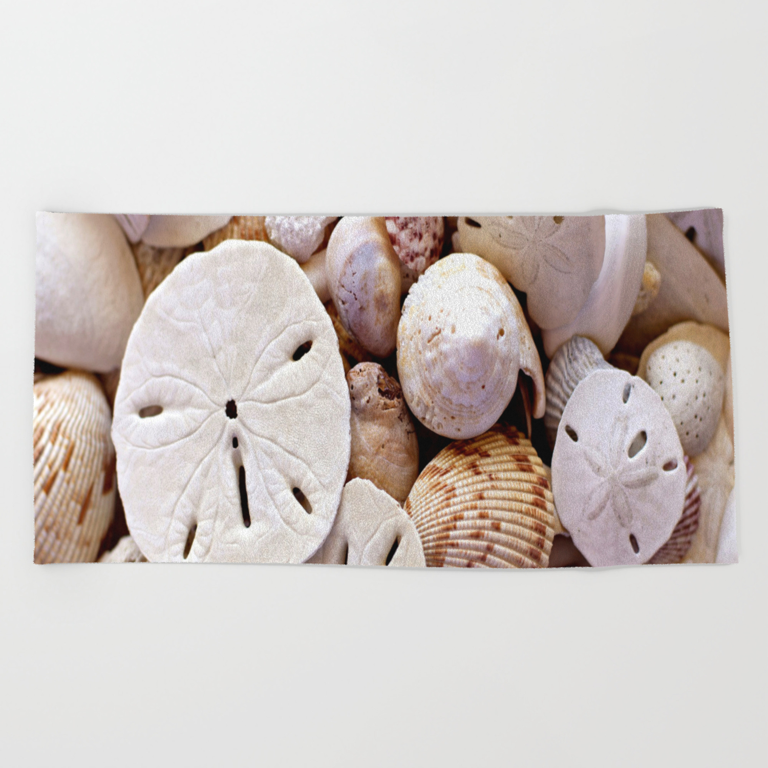 Seashells And Sand Dollars Beach Towel By Jnccreations Society6