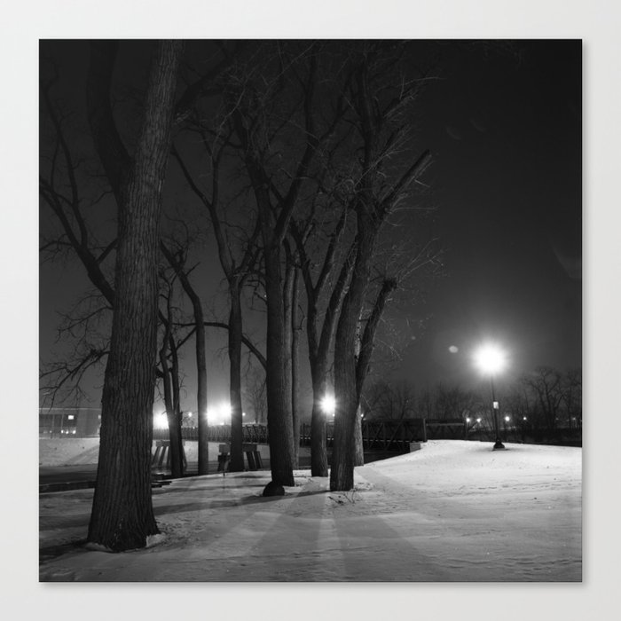 Winter Night's Walk Canvas Print