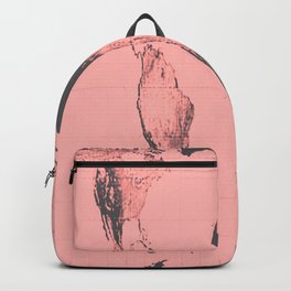 World Map: Gall Peters Pink Backpack