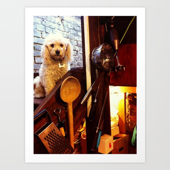 My dear Poodle Art Print