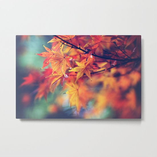 fall leaves Metal Print