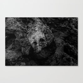 Skull  Rock Canvas Print