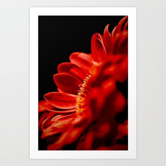 Red Flower Art Print