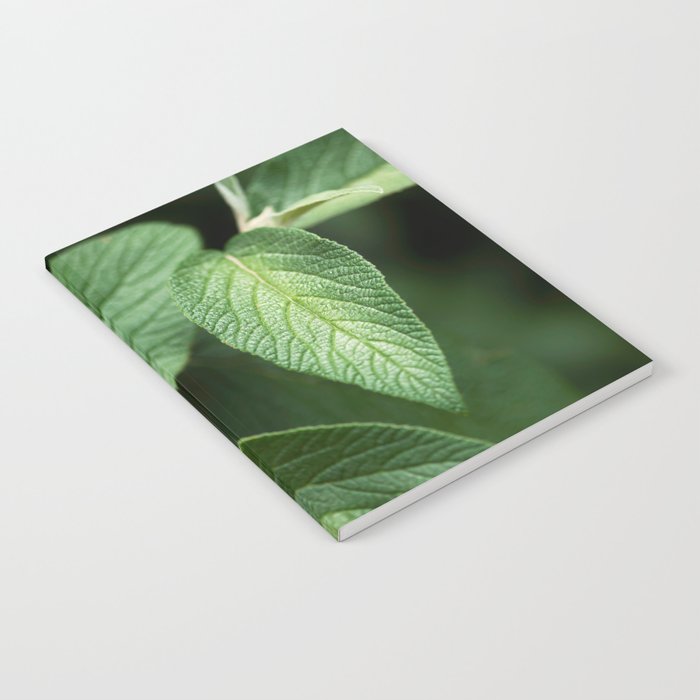 Textured Sage Leaf Notebook