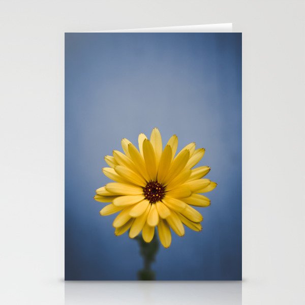 Yellow Flower Stationery Cards