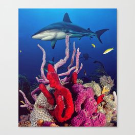 fish Canvas Print