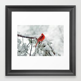 Cardinal on Snowy Branch #2 Framed Art Print