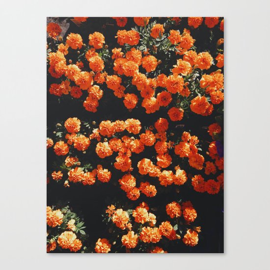 Orange Bloom Canvas Print