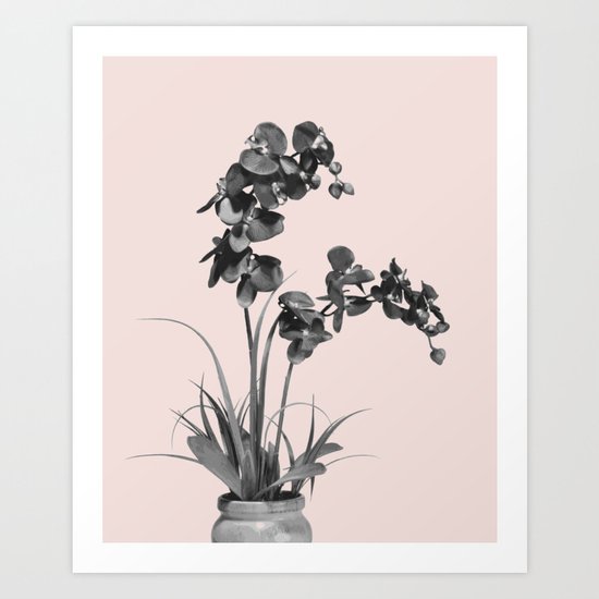 Summer orchid bloom Art Print