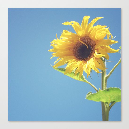 Summer Canvas Print
