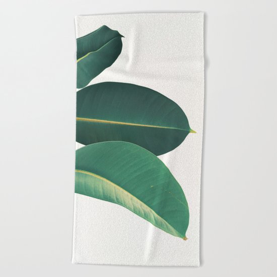 Rubber Fig Leaves II Beach Towel
