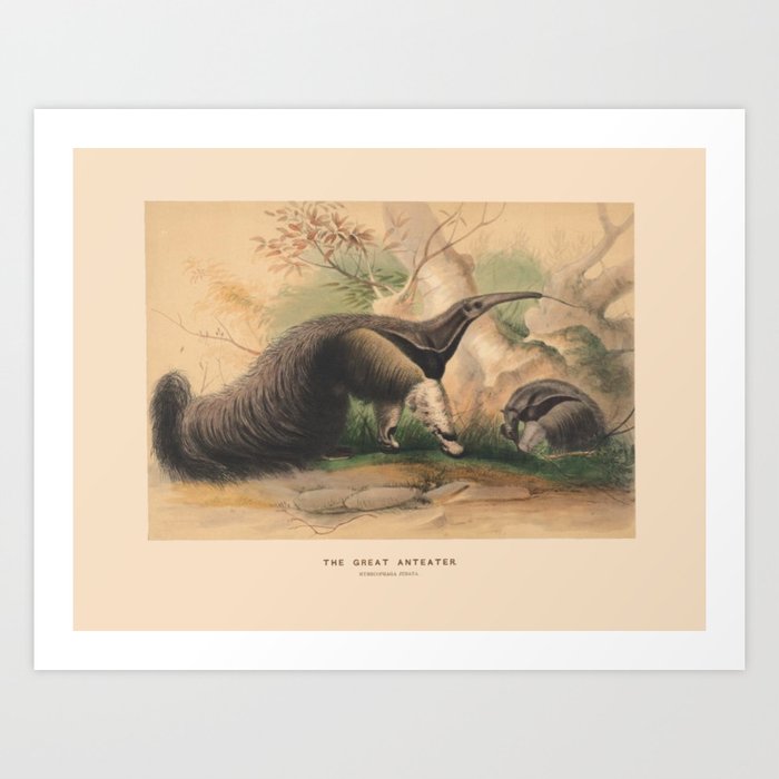 The Great Anteater Art Print