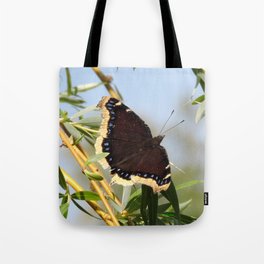 Mourning Cloak Butterfly Sunning Tote Bag