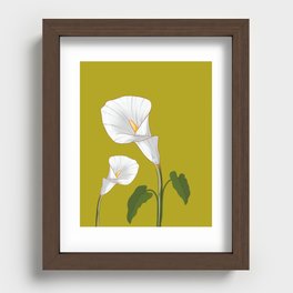 Calla Lily Recessed Framed Print