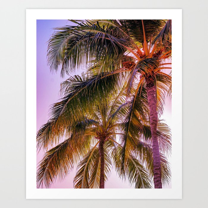 Honolulu Palm Trees Art Print by Luke Callow | Society6