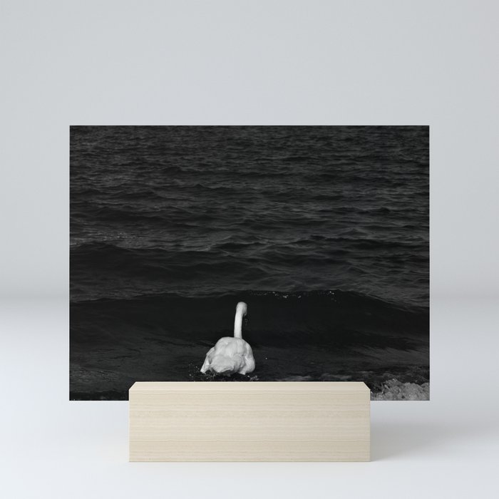 Melancholic Mute Swan Mini Art Print