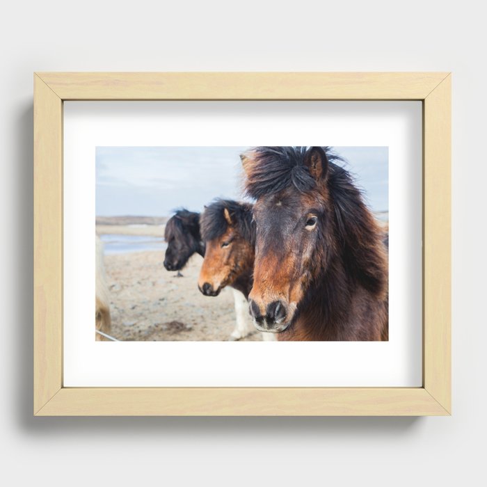 ICELANDIC HORSE Recessed Framed Print