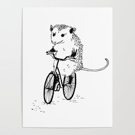 Opossums bike, too Poster