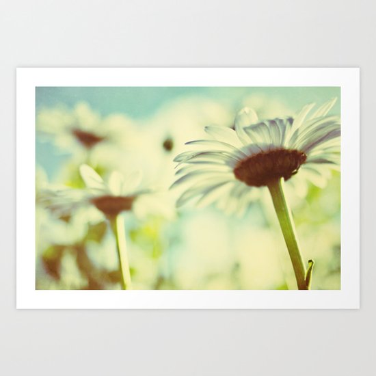 the daisy garden Art Print