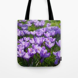 Purple Crocuses Tote Bag