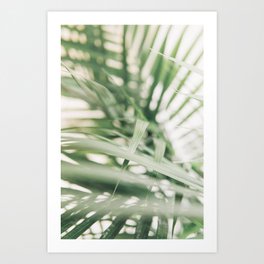 Palm Leaf Art Print
