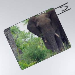 South Africa Photography - Elephant Walking Through The Forest Picnic Blanket