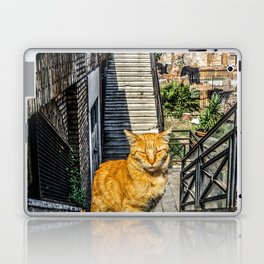 Argentina Photography - Beautiful Orange Cat Standing At The Stone Stairs Laptop Skin