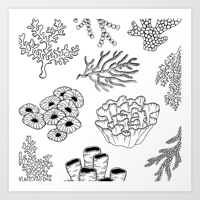 Corals Pattern Black and White Art Print