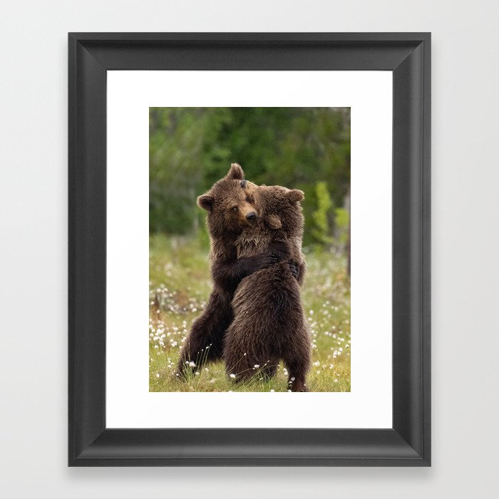 Bear hug Framed Art Print