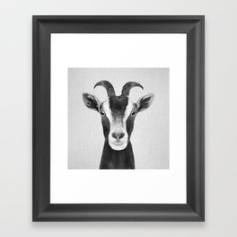 Goat - Black & White Framed Art Print